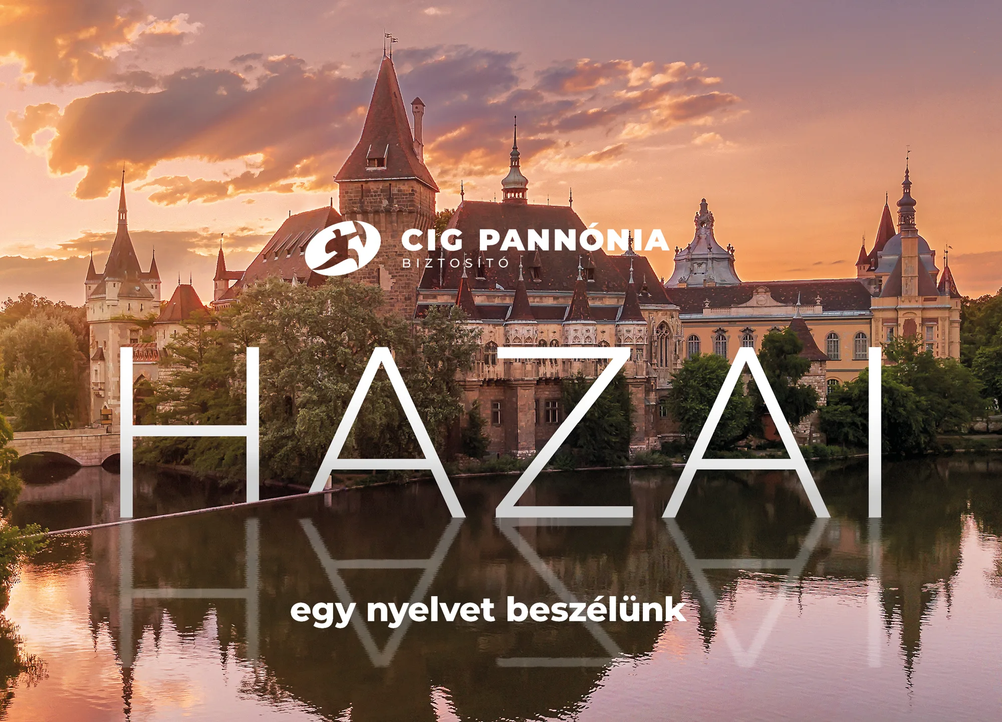 CIG Pannónia: Office decor