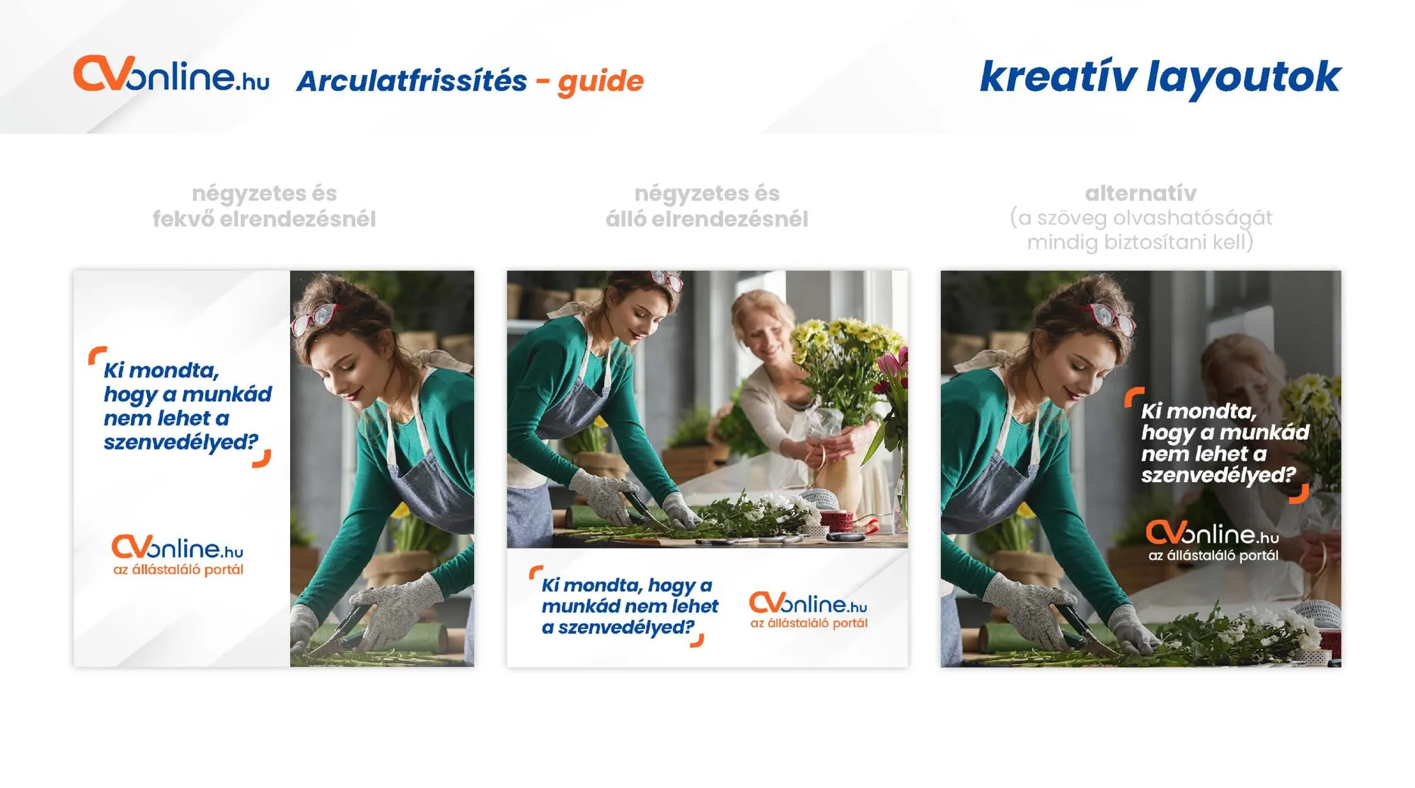 CVOnline: Guideline